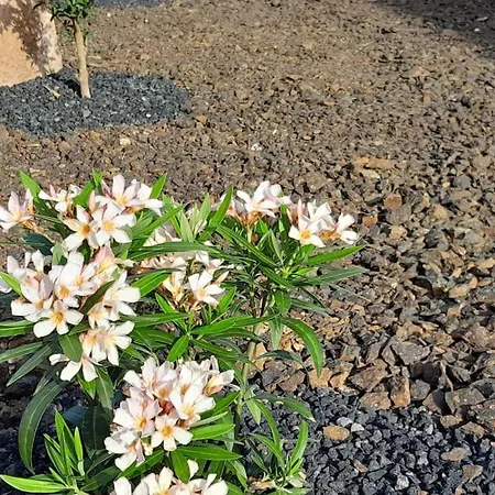 Casa vacanze Casagrande Sunset Ii - Fuerteventura - Costa Calma
