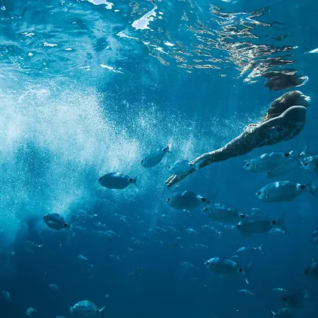 Casa vacanze Casagrande Sunset Ii - Fuerteventura - Costa Calma *