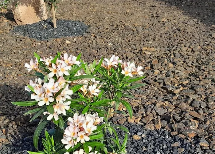 Dom wakacyjny Casagrande Sunset Ii - Fuerteventura - Costa Calma